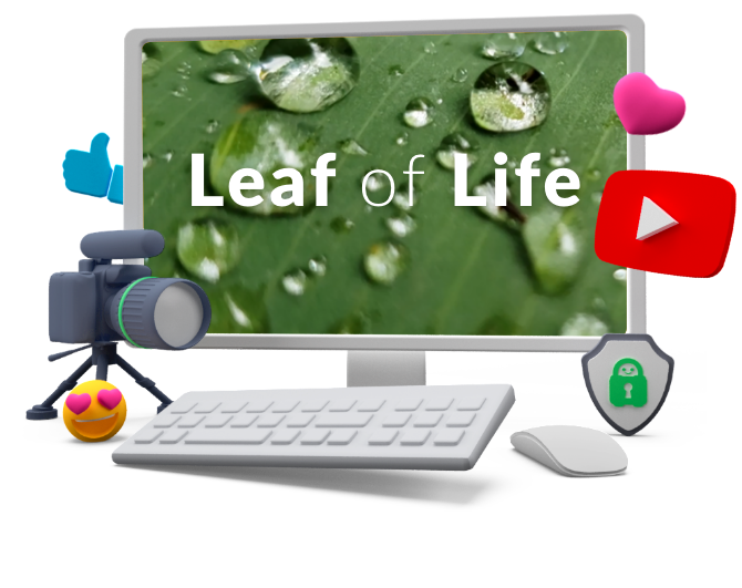 Leaf of Life Films